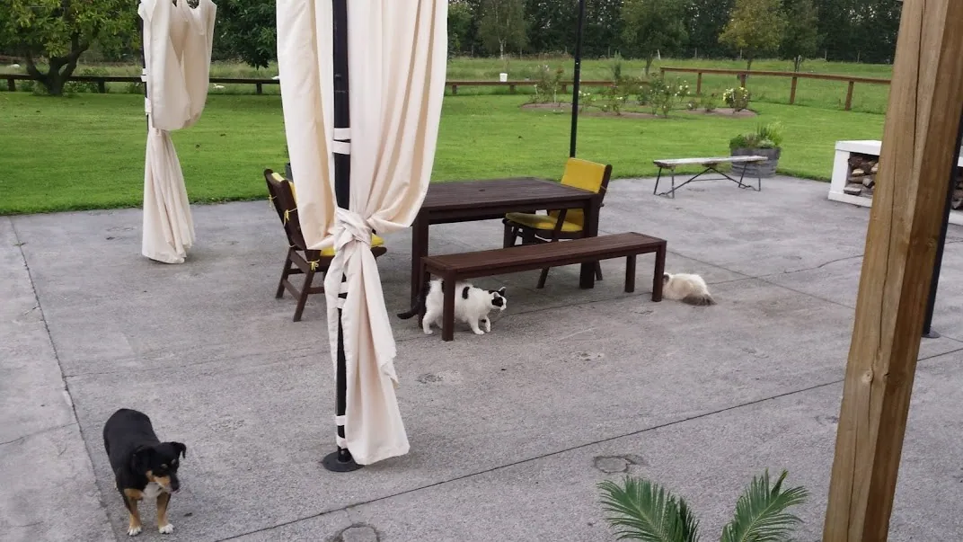 B04 marshall joins us for dinner 4 feb 2018